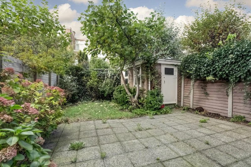 Before: verwilderde tuin